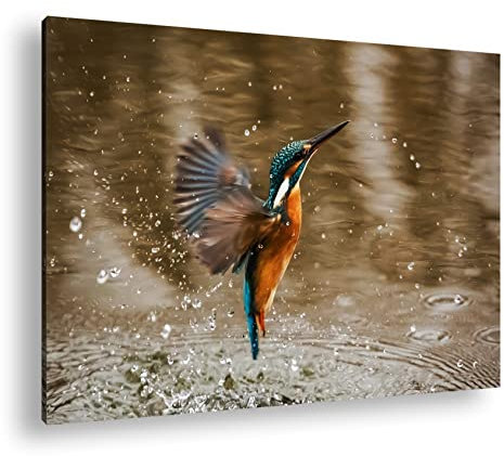 deyoli fliegender Eisvögel Format: 60x40 als Leinwandbild, Motiv fertig gerahmt auf Echtholzrahmen, Hochwertiger Digitaldruck mit Rahmen, Kein Poster oder Plakat