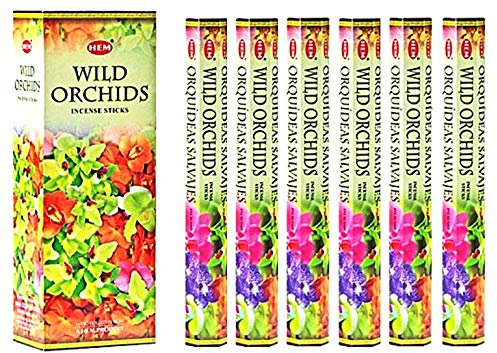 Saum 6 Pack 20 Stick Wild Orchideen – Box von sechs 20 Stick Röhren – HEM Räucherstäbchen