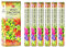 Saum 6 Pack 20 Stick Wild Orchideen – Box von sechs 20 Stick Röhren – HEM Räucherstäbchen
