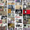 PURO wallpapers 10m / 394 Roll of Fleece Wall Paper Non-Woven Premium Art Print No Repeating Pattern Design Decorative Panel Photo Picture Image Banksy f-A-0237-j-b