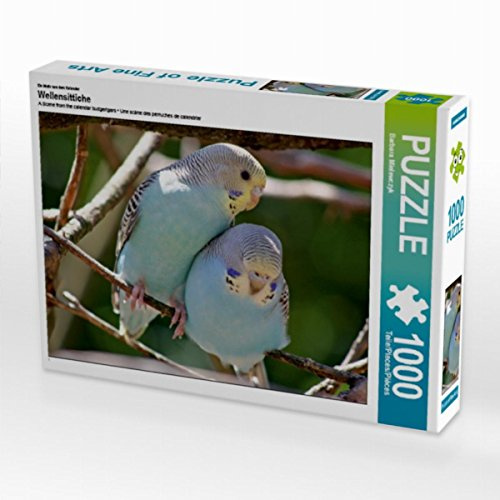 CALVENDO Puzzle Ich mag kuscheln.. | 1000 Teile Lege-Größe 64 x 48 cm Foto-Puzzle für glückliche Stunden