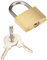 COGEX - Cadenas, cadenas clé - Cadenas 25mm - Avec 2 clés - Sécurité fiable pour casier, bagage ou portail - Corps en laiton - Résistant - Anse en acier trempé