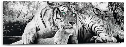 REINDERS Wandbild, Tigerblick, Wohnzimmer, Bilder, Wanddeko, Room Decor, MDF, Schwarz-Weiß, 30x90cm