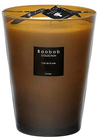 Baobab MAX24CUR Kerzen, Glas, gold, 24 x 10 cm