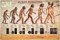 Educational - Bildung Human Evolution - Bildungsposter Plakat Druck - Maxiposter Version in Englisch - Größe 91,5x61 cm