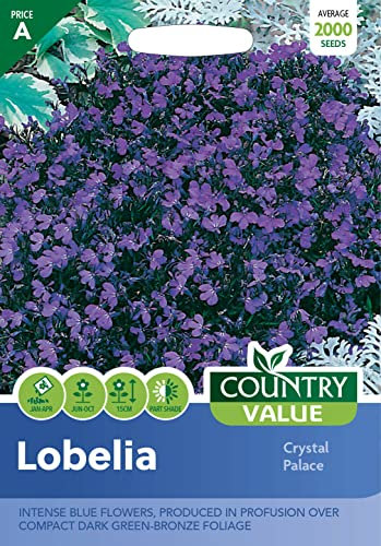 Country Value LOBELIA Crystal Palace Seeds