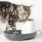 Nobby Trinkbrunnen Cascade 1,5 l; 34 x 28 x 17 cm für Katzen