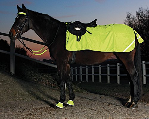WALDHAUSEN Reflex Nierendecke, Fleece