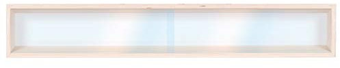 Alsino Vitrine Spur HO & N, Regal H0 60 cm 1 Fach mit Nuten Holz Vitrinenschrank Setzkasten Sammlervitrine für Züge Modelleisenbahn Eisenbahn(V-60.1A)