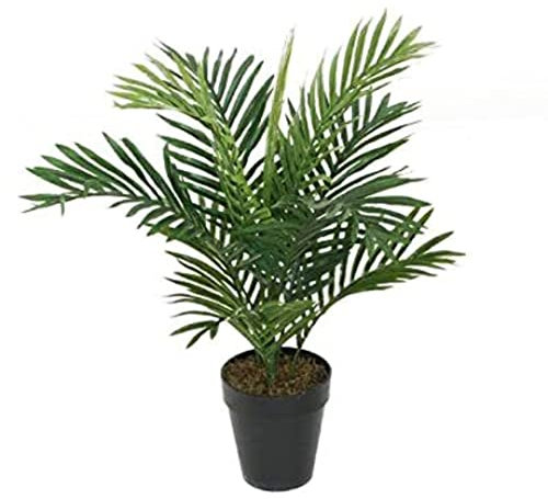 Künstliche Areca-Palme für Garten, Büro, Wintergarten, tropische Außen- oder Innen-Pflanze, 60 cm.