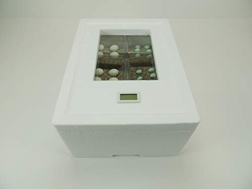 Campo24 ST3 Reptilien Inkubator Brutkasten Brutmaschine Brutapparat Brüter Incubator