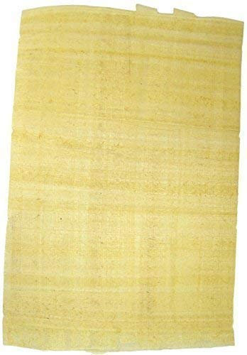 Major Brushes 10 Blatt ägyptisches Papyrus Papier & Hieroglyphen Informationen
