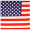 NEU Bandana USA, 55x55 cm