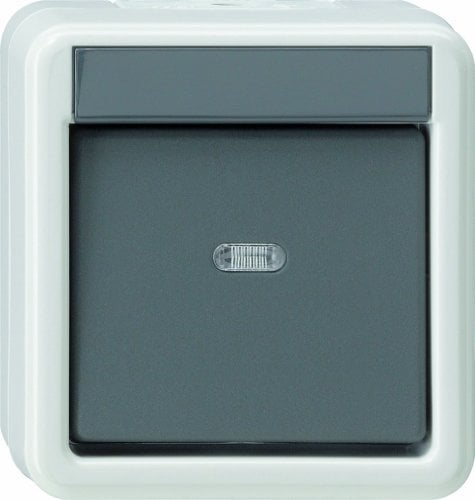 Gira Wippschalter 010730 Kreuzschalter WG AP grau, 250 V