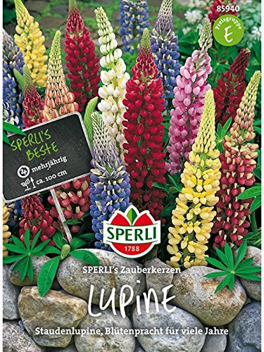 Lupinen SPERLING`s Zauberkerzen