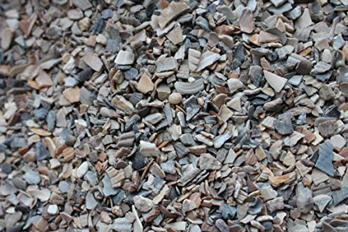 LanDixx Muschelkalk 25 kg für Hühner Muschelschrot Muschelgrit Geflügelgrit Kalk Ostrea Legehenne