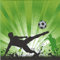 20 Servietten Fußball Euphorie / Kinder / Kindergeburtstag / EM / WM 33x33cm