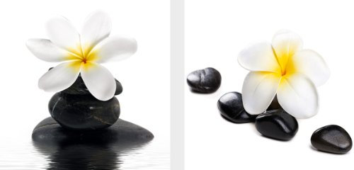 Eurographics AKT-DG-DT6182SET Deco Glass, Glasbild, 2-er Set, Zen Flowers, 20 x 20 cm