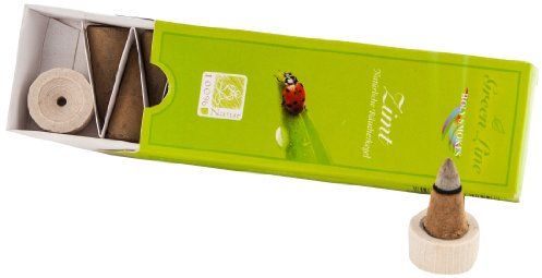 Berk HS-983 Räucherkegel - Zimt - Green Line, 16 g