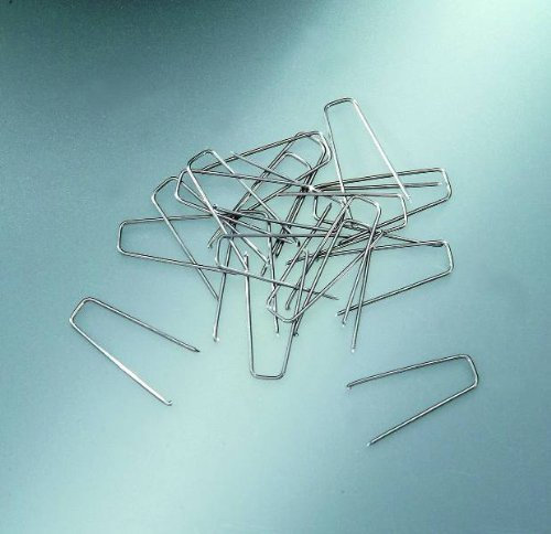 GLOREX Strohblumennadeln, Metall, Silber, 100 St./pcs. 6 x 25 mm