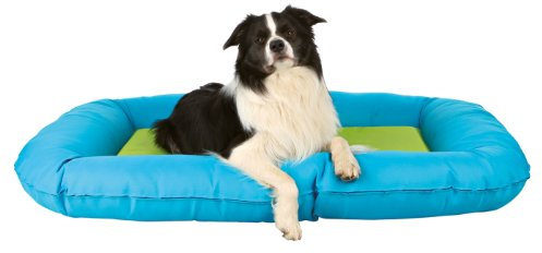 Hundekissen Drago aus Nylon, 120 × 80 cm, türkis/grün