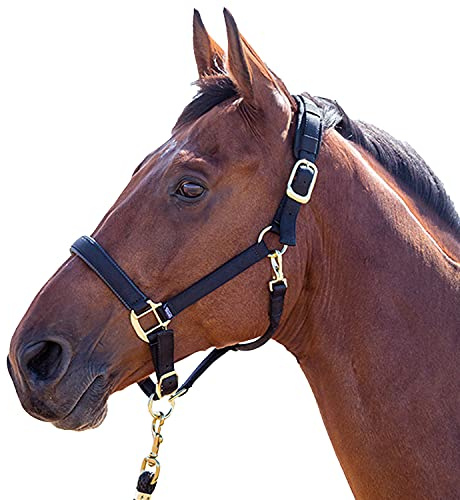 Shires Topaz Pferdehalfter Nylon, Schwarz Cob Schwarz