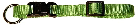 Kerbl Miami Collar Adjustable, 45 x 55 cm/ 25 mm, Green