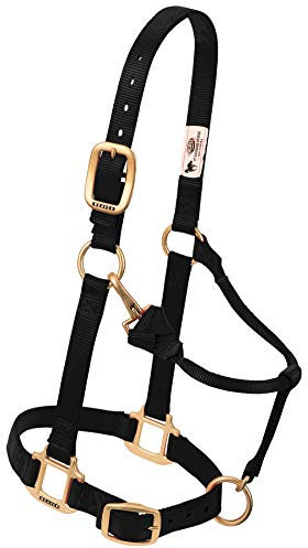 Weaver Leder Original Verstellbare Nylon Pferd Halfter, 1 Average Horse, schwarz