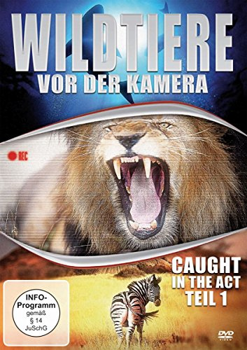 Wildtiere vor der Kamera - Caught in the Act Teil 1