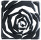 koziol Dekoelement Raumteiler Romance, 4er-Set, thermoplastischer Kunststoff, schwarz, 0,4 x 26,9 x 27 cm