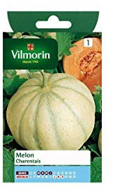 Vilmorin - Sachet graines Melon charentais