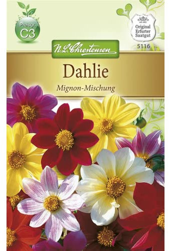 Chrestensen Dahlie 'Mignon-Mischung'