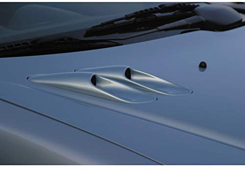 RGM Prises d'air de capot compatible avec Peugeot 206 (pour remplacement prise d'air d'origine), Non peint