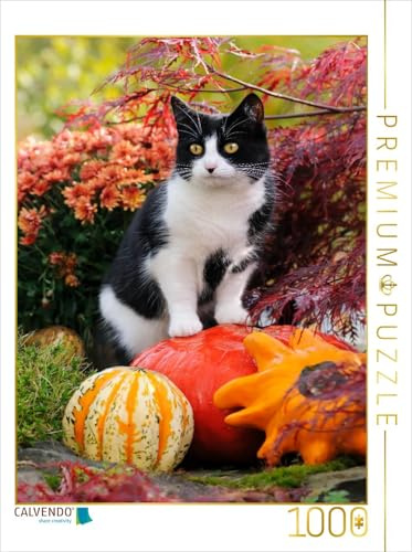 CALVENDO Puzzle Neugierige Katze Steht auf Kürbissen und beobachtet | 1000 Teile Lege-Größe 48 x 64 cm Foto-Puzzle für glückliche Stunden