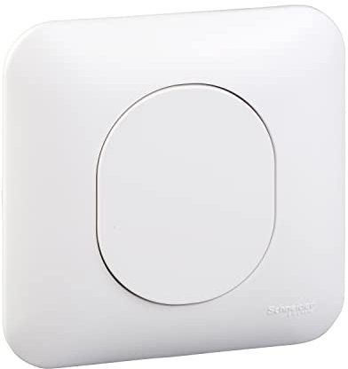 Schneider Electric - Ovalis - Obturateur avec plaque Blanc - S260666