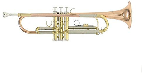 Roy Benson TR-202G Trompette Sib cuivre rose