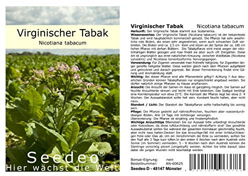 Seedeo Virginischer Tabak (Nicotiana tabacum) 300 Samen