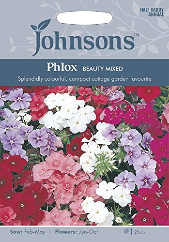 Johnsons Seeds - Pictorial Pack - Flower - Phlox Beauty Mixed - 250 Seeds