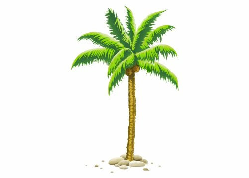Wandtattooladen Wandsticker - Kokos-Palme Größe: 116x180cm