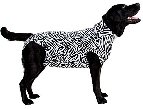MPS Medical Pet Shirt Hund, Zebra Print, M