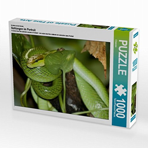CALVENDO Puzzle Spitzkopfnatter | 1000 Teile Lege-Größe 64 x 48 cm Foto-Puzzle für glückliche Stunden