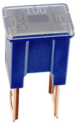 Restagraf - Japanische Sicherung Typ B Stecker für Automotive – Leistung 100 A – kompatibel mit Hyundai, Kia, Lexus, Mazda, Mitsubishi, Nissan, Opel, Toyota – Ref. 17114 – 2 Stück