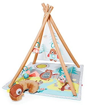 Skip Hop Activity Gym (Camping Cubs)