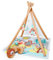 Skip Hop Activity Gym (Camping Cubs)