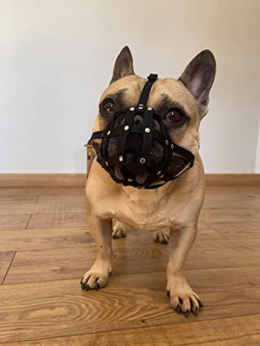 L&J Pets Uk Maulkorb für Französische Bulldogge, leichtes Leder (Schwarz)