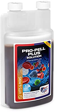 Equine America (1L) Pro-Pell Plus Pony & Horse Supplement. Premium Ready To Use Daily Tonic With Natural Ingredients to Increase Energy & Promote Good Health. Includes Vitamin B, Iron and Magnesium