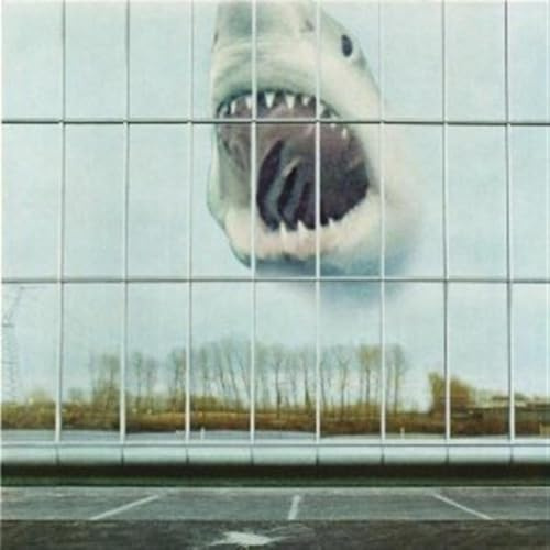 Jagjaguwar / Cargo