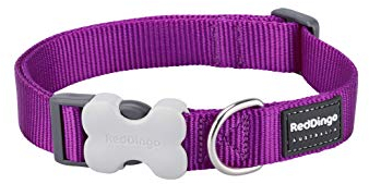 Red Dingo Nylon Hundehalsband, violett, S (DC-ZZ-PU-15)