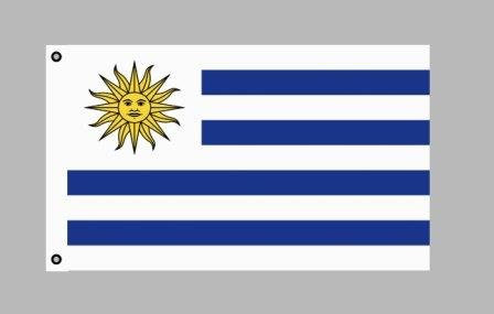 Flagge 90 x 150 : Uruguay