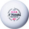 NITTAKU Star Premium 3-Sterne-Tischtennisbälle, Weiß, 40 mm
